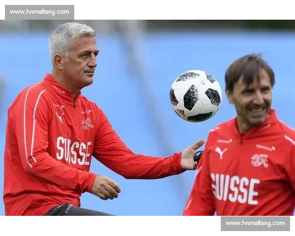 瑞士对阵法国比分预测解析与胜负走势前瞻全面数据视角深度解读